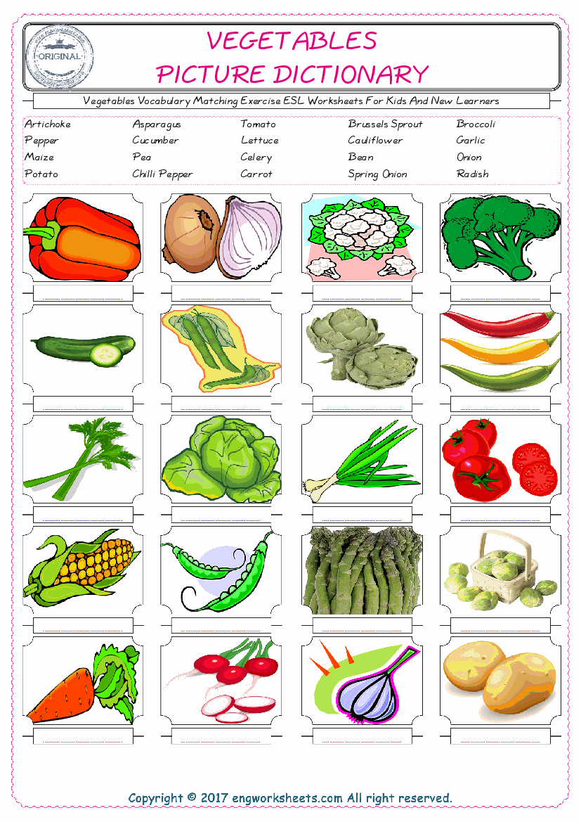  Vegetables for Kids ESL Word Matching English Exercise Worksheet. 
